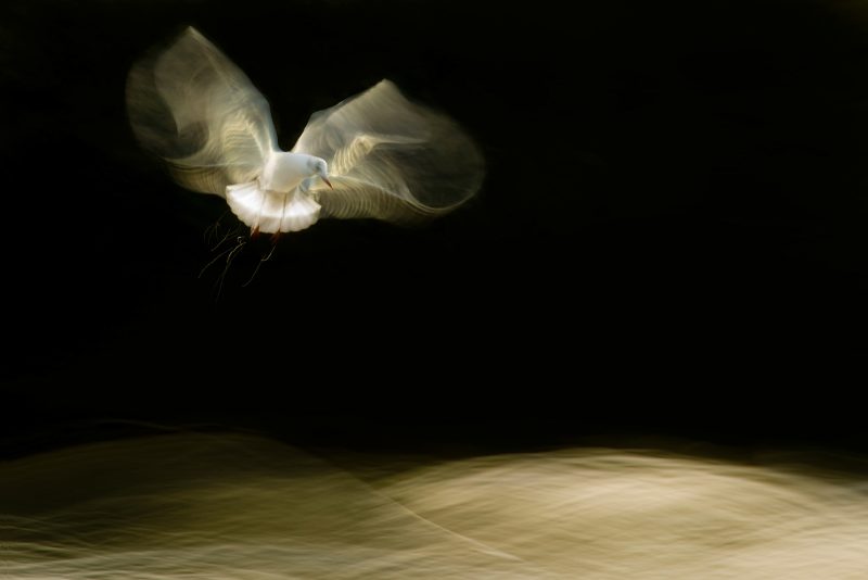 motion blur urban photography Motion Blur Urban Photography Techniques