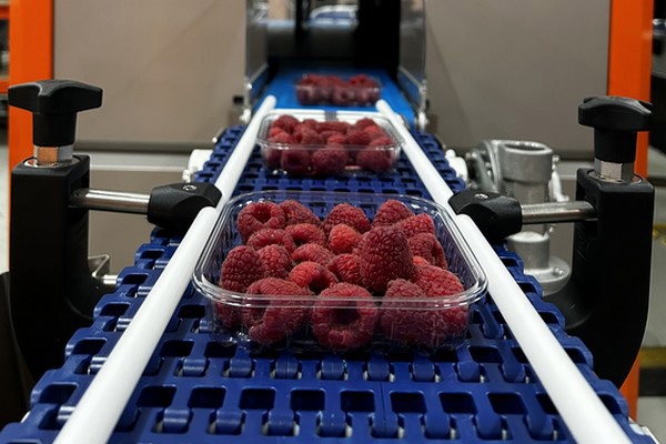 how big data affects food supply chain reliability How Big Data Affects Food Supply Chain Reliability and Safety