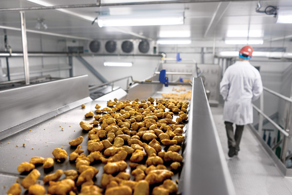 how to improve uptime on high-speed canning lines How to Improve Uptime on High-Speed Canning Lines Effectively