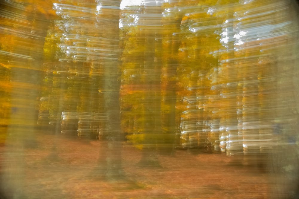 Motion Blur in Animation: Complete Guide