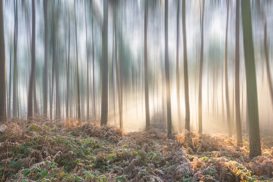 Motion Blur Time Exposure Complete Guide