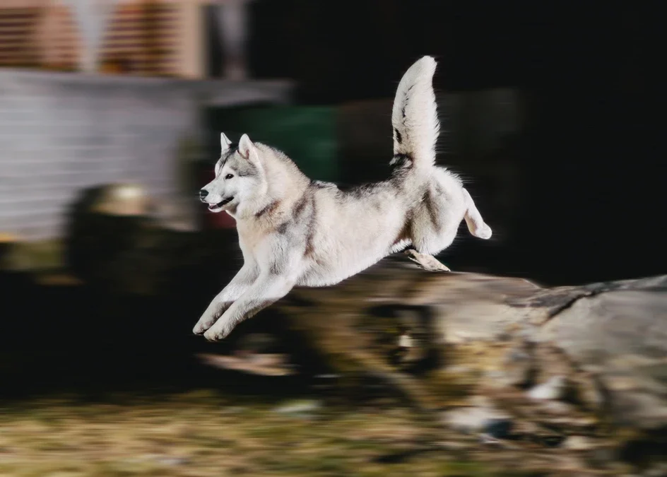 Motion Blur vs Ghosting Effect Differences