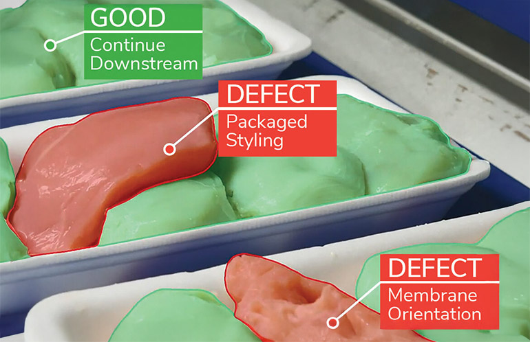Understanding the Role of Cobots in Modern Food Processing